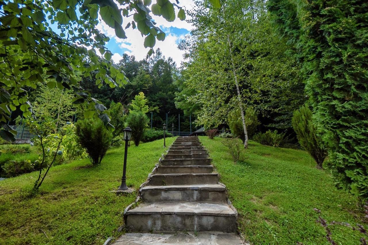 Hotel Tisa Băile Olăneşti Dış mekan fotoğraf
